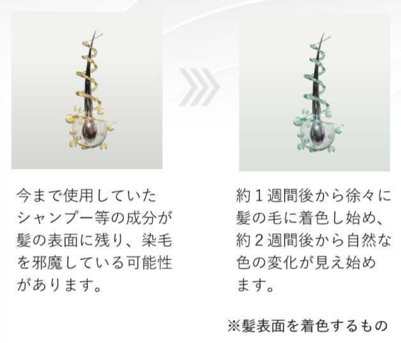 嬉和美　徐々に白髪がそまる